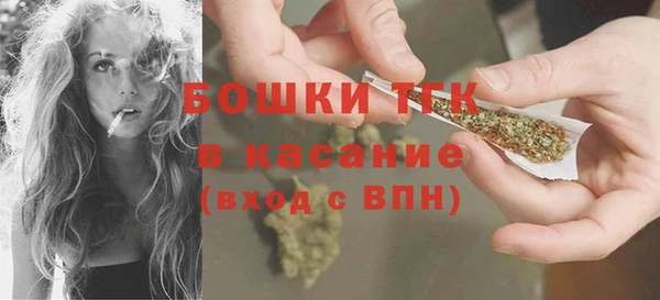 крисы Надым