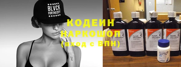 крисы Надым