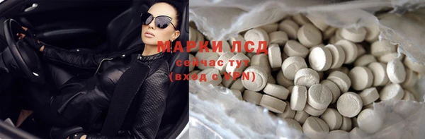 крисы Надым