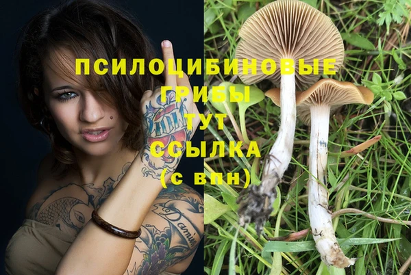 мескалин Наволоки