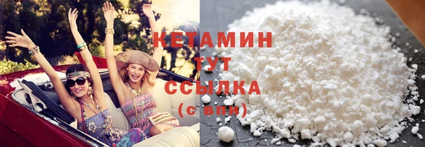 крисы Надым