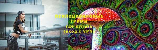 крисы Надым