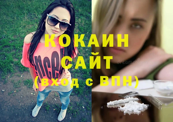крисы Надым