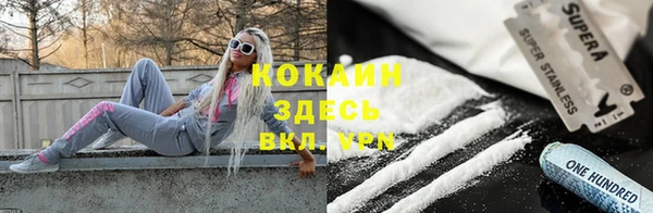 крисы Надым